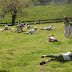 DSC04365.JPG