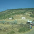 135 IMG_5823.JPG