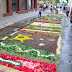 DSC00571.JPG