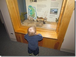 IMG_0350 IMG_0350