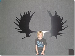 IMG_0352 IMG_0352