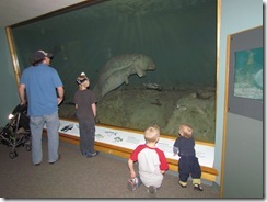 IMG_0355 IMG_0355