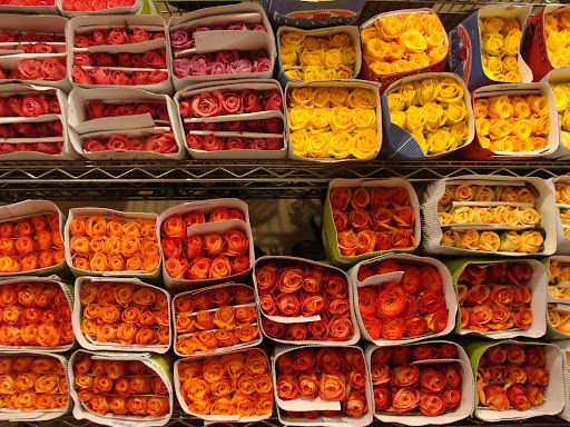 I loved walking into stores and being greeted by the fresh smell and vibrant colors of the flowers.