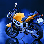 motorbikes_040.jpg