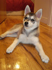 At 4 months old, Jada's looking pretty cute
