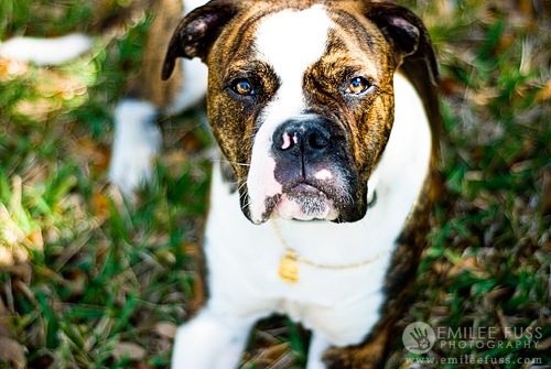 [image-3[2].jpg]