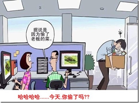 不要再偷菜了 不要再偷菜了