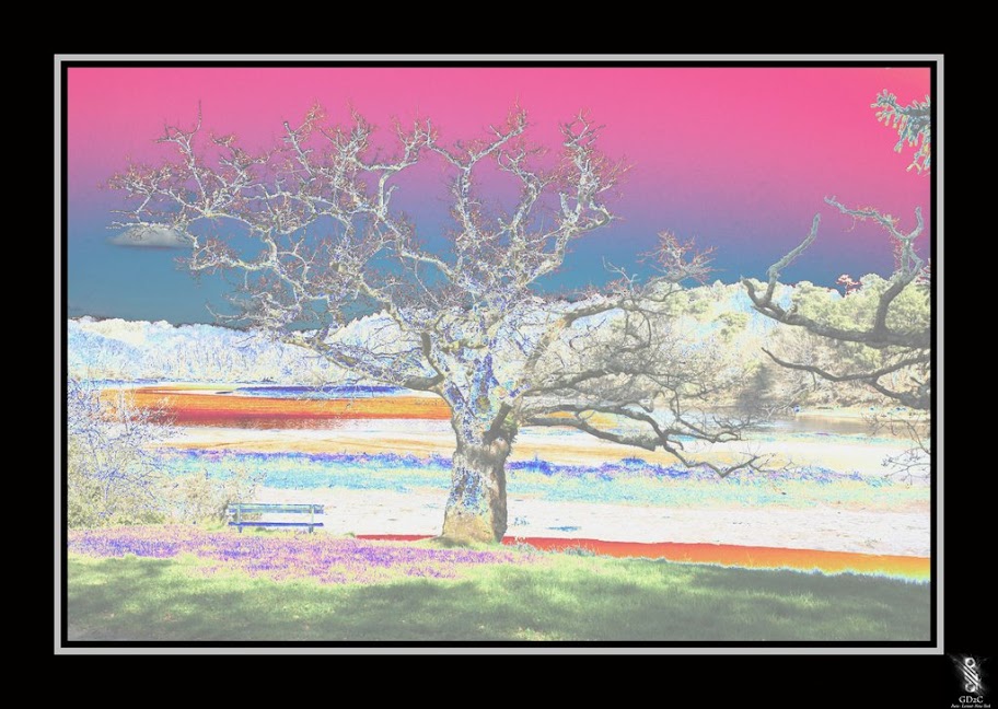 http://lh3.ggpht.com/_eA1eLh-IuMA/TBpp39a10GI/AAAAAAAAF2k/ht4ntHIOal8/s912/3.jpg