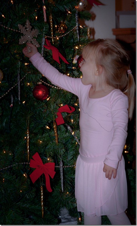 tree tree