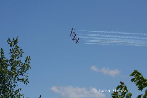 [snowbirds_9079[2].jpg]