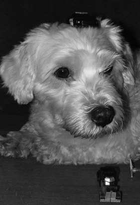 [oli_b_w[4].jpg]