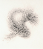 Graphite on Paper