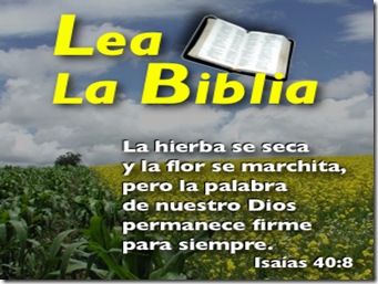 LLB