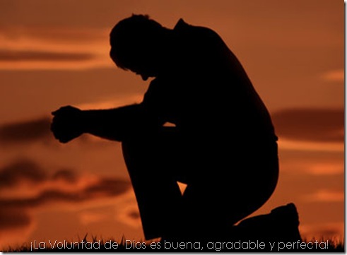 Voluntad de Dios