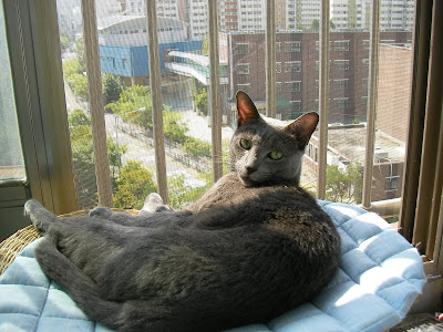 http://lh3.ggpht.com/_eFJUY9IzSSs/SY7iED5QewI/AAAAAAAAALo/uOLDbCG_T8o/s400/SANY0096.JPG