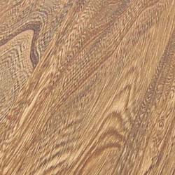 Grey Elm