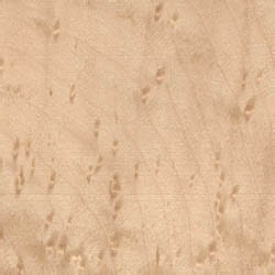 Birds Eye Maple