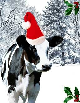 [christmas-cow[2].jpg]