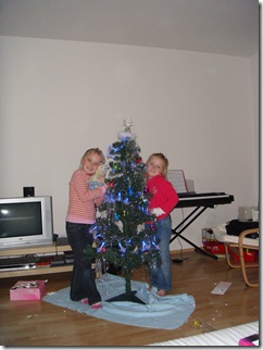 At home - Christmas Tree 029