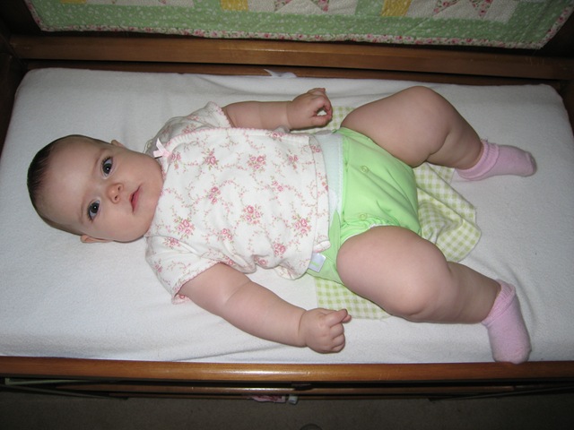 [IMG_64473.jpg]