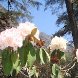 Langtang Region and Gosainkunda.