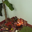 – worship of vegetation in Fulpati – worship of vegetation in Fulpati