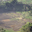  &ndash; paddy fields