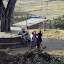  &ndash; children enjoying the swing