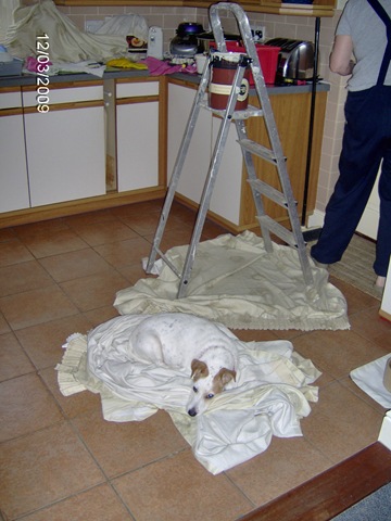 [Nin and Barney helping with the decoration 003[2].jpg]