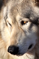 HerEminence_Worry_Face