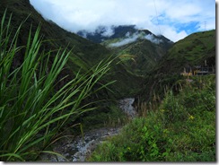 Sugarcane Valley