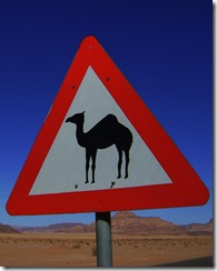 Camel Crossing