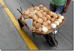 Coconut Vendor
