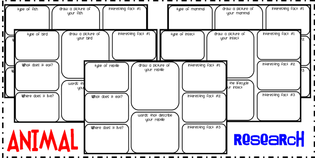 for Worksheet report 1st   research 1st  worksheet Animal animal http://iappsofts.com/animal Grade Research grade