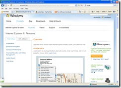 Internet Explorer 8 Screenshot