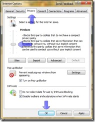 internet Explorer Privacy setting