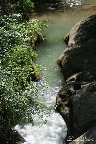 [CF_UpperFalls_Sp20108.jpg]
