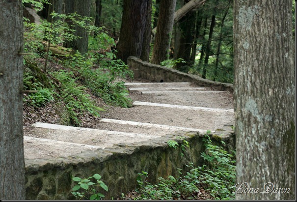 CedarFalls_Steps