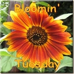 BloomingTuesday_Button
