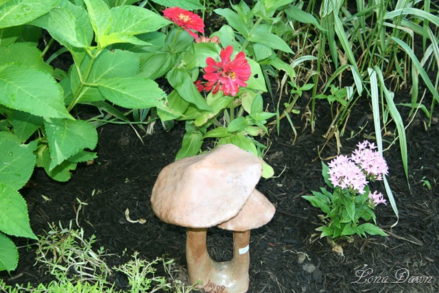 [HH_Toadstools_2010[8].jpg]