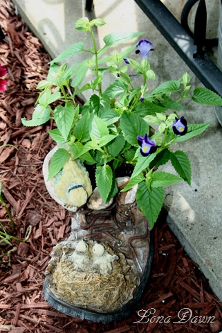 [BootPlanter_Torenia[7].jpg]