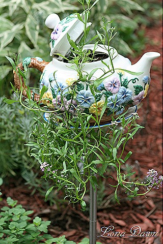 [TeaPot_Allysum[7].jpg]