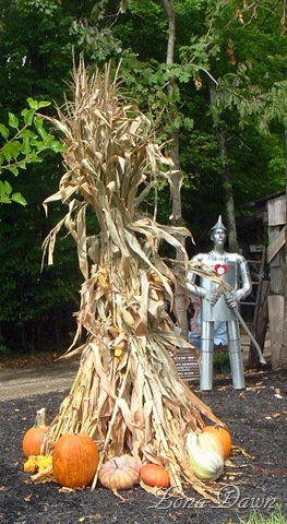 [BWF_Tinman_2010[8].jpg]