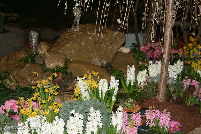 [HGS_Fountain_Hyacinths[11].jpg]