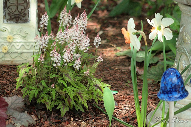 [ShadeGarden_Spring[8].jpg]