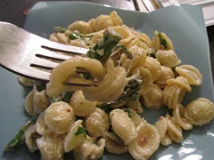 [IMG_3111[3].jpg]