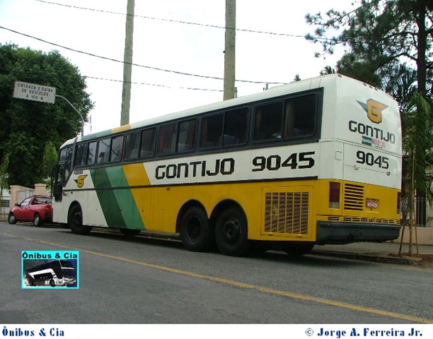 [Gontijo-9045 (1) (low or medium quality)[2].jpg]