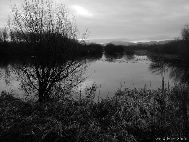 [2010-02-07 004[5].jpg]
