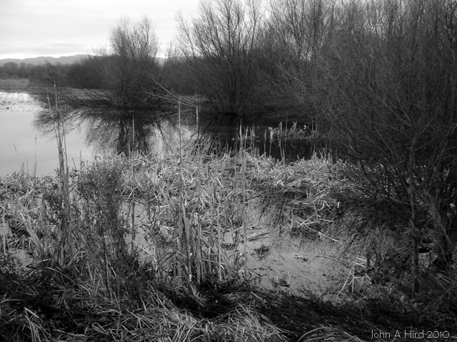[2010-02-07 005[5].jpg]