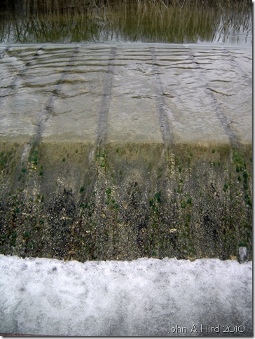 2010-02-07 024